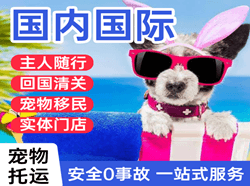 海口机场货运国际宠物托运 【国
